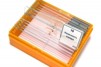 Набор микропрепаратов N10 - «globural.ru» - Рузаевка