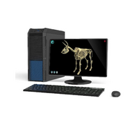 Макет масштабный «Скелет Коровы» Масштаб 1:2 - «globural.ru» - Рузаевка