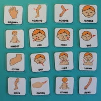 Набор карточек "Части тела" - «globural.ru» - Рузаевка