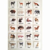 Набор карточек "ЖИВОТНЫЕ" - «globural.ru» - Рузаевка