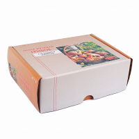 Муляжи съедобных и ядовитых грибов  - «globural.ru» - Рузаевка