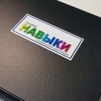 Навыки социальной адаптации. Развивающие пособие на липучках  - «globural.ru» - Рузаевка