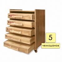 Набор психолога "Инклюзив" 5 модулей - «globural.ru» - Рузаевка