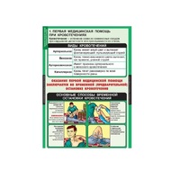 ОБЖ Правила оказания первой медицинской помощи (комплект таблиц) - «globural.ru» - Рузаевка