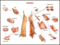 Правила разделки мясных туш "Свинина" 1000*1400 винил - «globural.ru» - Рузаевка