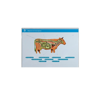 Стенд-планшет светодинамический "Изучение нервной системы сельскохозяйственных животных" со сменными панелями - «globural.ru» - Рузаевка