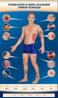 Электрифицированный стенд-тренажер "Травматизм и меры оказания первой помощи" - «globural.ru» - Рузаевка