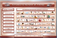 Трехсекционный базовый комплект "Травмы. Кровотечения. Ожоги" для учащихся общеобразовательных учреждений - «globural.ru» - Рузаевка