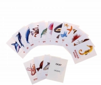 Раздаточные карточки "Мир морей и океанов" - «globural.ru» - Рузаевка