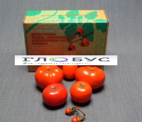 Муляжи Дикая форма и культурные сорта томатов - «globural.ru» - Рузаевка