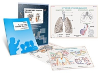 Комплект транспарантов «Человек и его здоровье. Дыхание» - «globural.ru» - Рузаевка