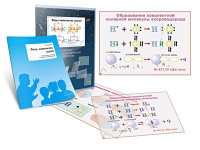 Комплект транспарантов «Виды химических связей» - «globural.ru» - Рузаевка