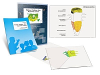 Комплект транспарантов «Корень. Стебель. Лист (Внутреннее строение)» - «globural.ru» - Рузаевка