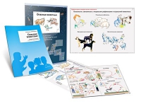 Комплект транспарантов «Опасные животные» - «globural.ru» - Рузаевка