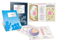 Комплект транспарантов «Цитология» - «globural.ru» - Рузаевка