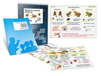 Комплект транспарантов «Ядовитые и жалящие животные» - «globural.ru» - Рузаевка