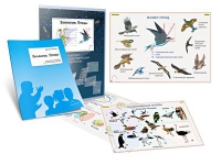 Комплект транспарантов «Зоология. Птицы» - «globural.ru» - Рузаевка