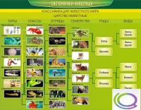 Стенд "Систематика животных" - «globural.ru» - Рузаевка