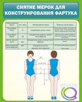 Стенд "Снятие мерок для конструирования фартука" - «globural.ru» - Рузаевка