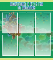 Стенд "Подготовка к ЕГЭ и ОГЭ по биологии" (вариант 1) - «globural.ru» - Рузаевка