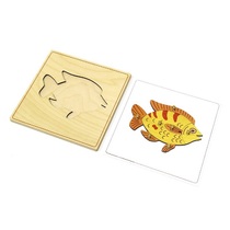 Строение рыбки с контуром - «globural.ru» - Рузаевка