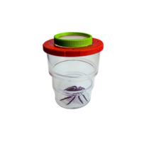 Коробка для изучения насекомых с лупой (вариант 2) - «globural.ru» - Рузаевка