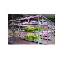 Обучающий комплект "АГРОкласс" - «globural.ru» - Рузаевка