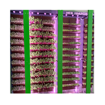 Вертикальная ферма "Моя Микрозелень" комплектация Школьная - «globural.ru» - Рузаевка