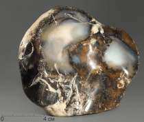 Агат дендритовый (халцедон), полировка - «globural.ru» - Рузаевка