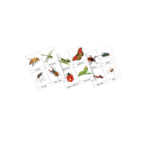 Фланелеграф "Насекомые" - «globural.ru» - Рузаевка