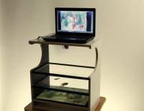 Мультстанок для перекладной анимации  - «globural.ru» - Рузаевка