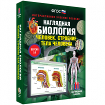 Наглядная биология. Человек. Строение тела человека - «globural.ru» - Рузаевка