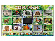 Комплект оборудования "Живой уголок" (животные) - «globural.ru» - Рузаевка