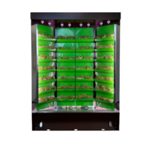 Вертикальная ферма "Моя Микрозелень" комплектация "Театро настольная" - «globural.ru» - Рузаевка