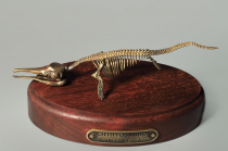 Модель скелета ихтиозавра Ichthyosaurus - «globural.ru» - Рузаевка