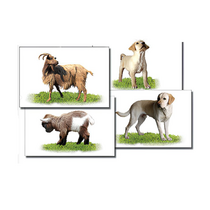 Набор карточек "Домашние животные" (раздаточные) - «globural.ru» - Рузаевка