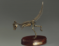 Модель скелета динозавра Pachycephalosaurus - «globural.ru» - Рузаевка