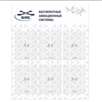 Стенд пилотирования БАС - «globural.ru» - Рузаевка