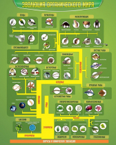 Стенд "Эволюция органического мира" - «globural.ru» - Рузаевка