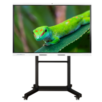 Интерактивный комплекс Geckotouch ​​​​​​​65RK - «globural.ru» - Рузаевка