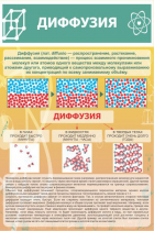 Стенд "Диффузия" - «globural.ru» - Рузаевка