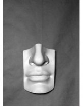 Губы с носом Давида - «globural.ru» - Рузаевка