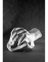 Кисть Давида - «globural.ru» - Рузаевка