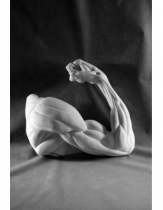 Рука, согнутая в локте - «globural.ru» - Рузаевка