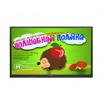 Интерактивная сенсорная панель 50" (UHD 4K) - «globural.ru» - Рузаевка