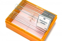 Набор микропрепаратов N10 - «globural.ru» - Рузаевка