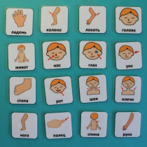 Набор карточек "Части тела" - «globural.ru» - Рузаевка