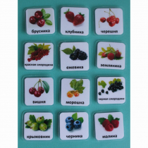 Набор карточек "Ягоды" - «globural.ru» - Рузаевка