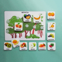 Пособие "Овощи и фрукты" - «globural.ru» - Рузаевка