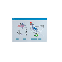 Стенд-планшет светодинамический "Изучение органов дыхания сельскохозяйственных животных" со сменными панелями - «globural.ru» - Рузаевка